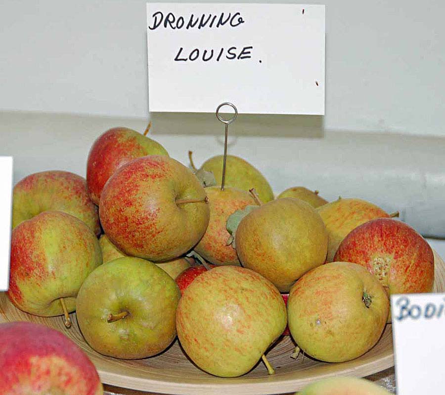 hage Australien ustabil Dronning Louise æbler