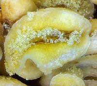 Støvknap med pollen fra æbleblomst